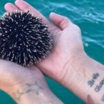 Zadar Half Day boat tour Wine on the Waves - Who Will Love This Tour?