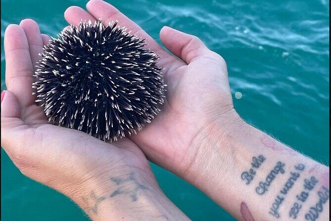 Zadar Half Day boat tour Wine on the Waves - Who Will Love This Tour?