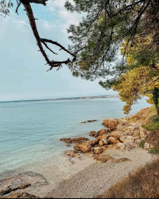 Zadar: Islands Speedboat Tour & Blue Bay Swim with Drinks - Who Will Love This Experience?