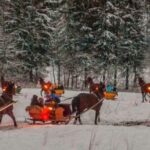 Zakopane Sleigh Ride in Tatra Mountains - Authentic Polish Hospitality and Nature