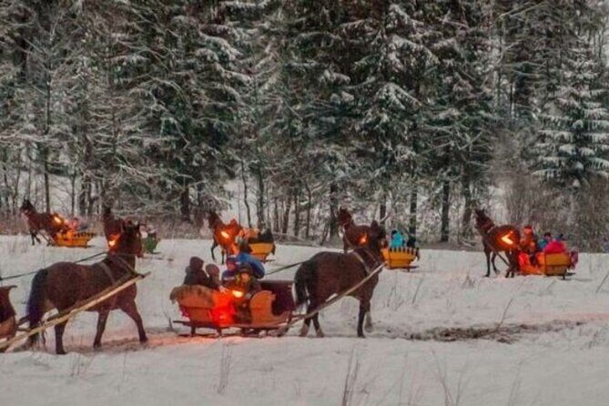 Zakopane Sleigh Ride in Tatra Mountains - Authentic Polish Hospitality and Nature