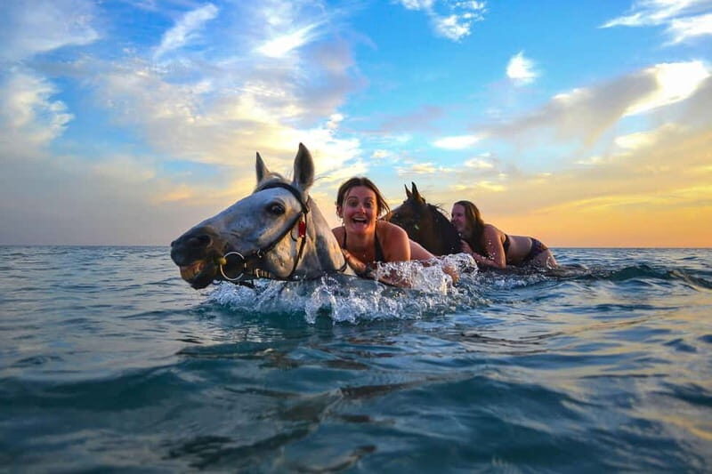 Zakynthos: Yotomu Horse Riding and Swimming Experience - The Details that Matter