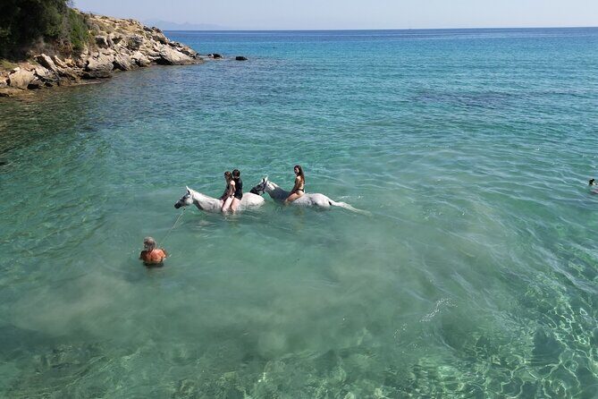 Zakytnhos Horse Riding Swimming Experience - Practical Tips for a Seamless Experience