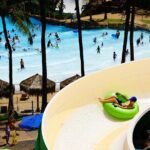 Zip and Dip: 3 Ziplines and Wet n Wild Waterpark - Who Is This Tour Best For?