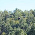 Zipline the Goliath in The Smoky Mountains - Who Is This Experience Best For?