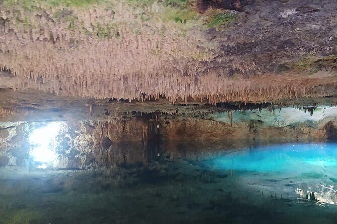 Ziplining ATVs and Cenote Swim with Lunch Cancun Adventure Tour - What to Expect: A Deep Dive into the Itinerary