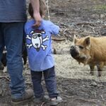 1.5 Hour Immersive Farm Experience in Adirondacks - Who Will Benefit Most?