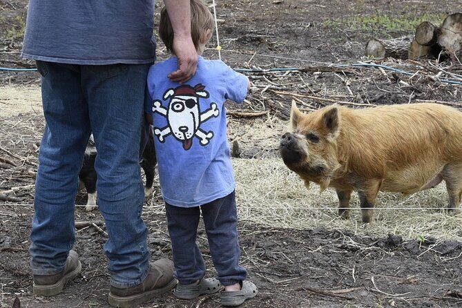 1.5 Hour Immersive Farm Experience in Adirondacks - Who Will Benefit Most?