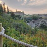 1 Day of Drumheller Dinosaurs and Badlands Guided Group Tour - Practical Details and Value