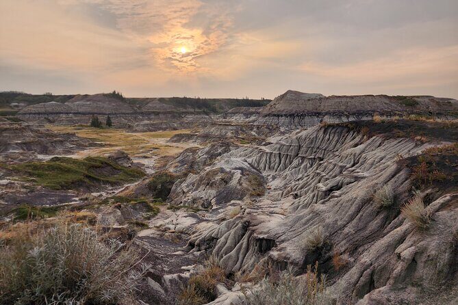 1 Day of Drumheller Dinosaurs and Badlands in Private Custom Tour - Overall Value and Experience