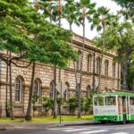 1 Day Pass LeaLea Trolley and Waikiki Trolley Pink Line - An In-Depth Look at the Oahu Trolley Experience