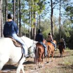 1 Hour Guided Horseback Trail Ride Rock Springs Run State Reserve - Who Should Consider This Tour?