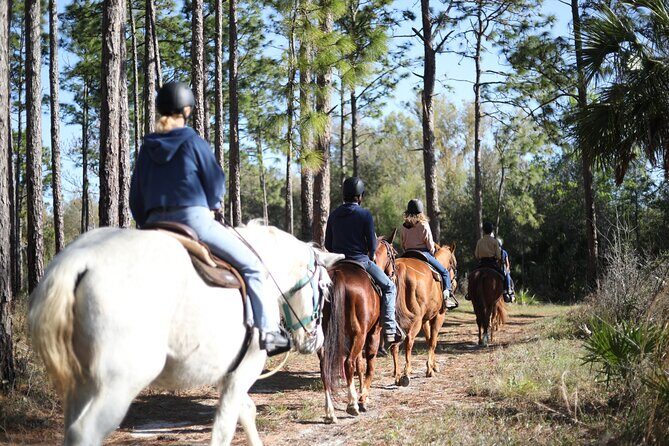 1 Hour Guided Horseback Trail Ride Rock Springs Run State Reserve - Who Should Consider This Tour?
