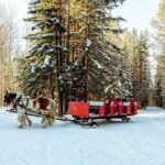 1 Hour Shared Winter Sleigh Ride Experience in Kananaskis - Summing Up: Who Is This Tour Best For?