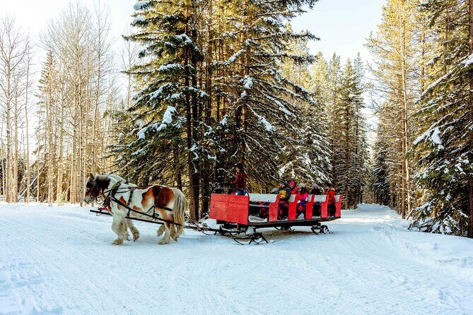 1 Hour Shared Winter Sleigh Ride Experience in Kananaskis - Summing Up: Who Is This Tour Best For?