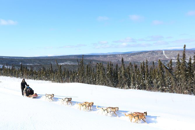 1 hour Winter Dog Sledding in Fairbanks - Authenticity and Unique Aspects