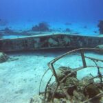 1 Tank Guided Shore Dive Including Equipment - What to Expect on Your Shore Dive