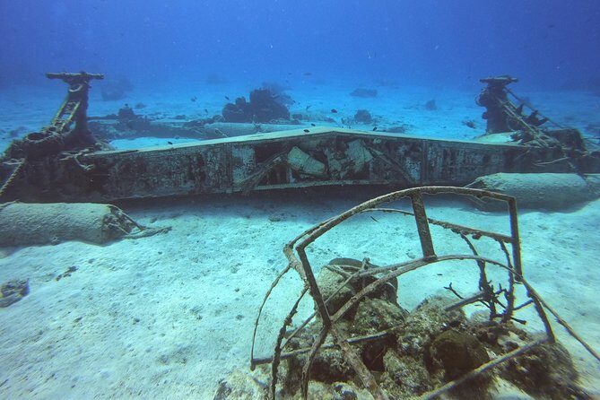 1 Tank Guided Shore Dive Including Equipment - What to Expect on Your Shore Dive