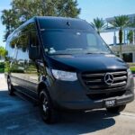 14 Passengers Van private Transfer to/From Port Canaveral One Way - Who Is This Tour Best For?