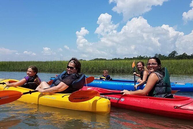 2 1/4 Hour Private Kayak Hilton Head Dolphin Nature Experience - The Sum Up