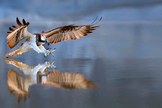 2-Hour, 4-seat ATV Rental next to Bryce National Park - What’s Included and What You Need to Bring