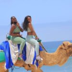 2-Hour Camel Ride Beach and Desert Adventure Experience - Price and Value Analysis