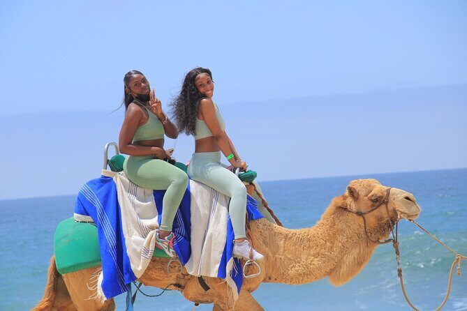 2-Hour Camel Ride Beach and Desert Adventure Experience - Price and Value Analysis