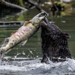 2 Hour Custom Wildlife and Historical Tour - Final Thoughts: Is It Worth It?