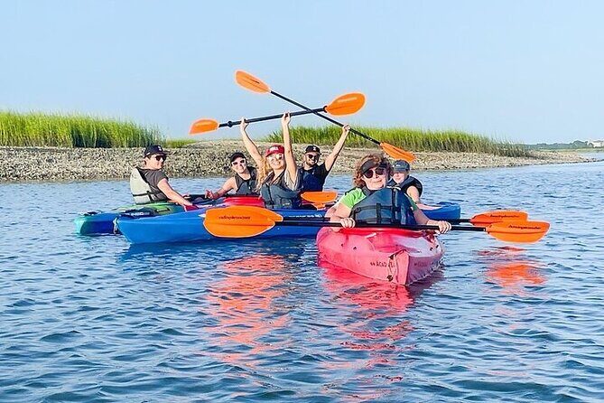 2 Hour Kayak Hilton Head Dolphin and Nature Tour - Who Is This Tour Best For?