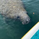 2 Hour Paddle Board Rental - The Value for Money