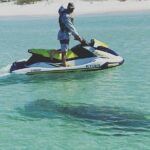 2 Hour Shell Island Jet Ski Dolphin Tour - Practical Details and What You Need to Know