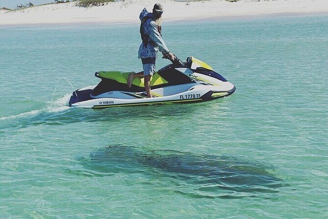 2 Hour Shell Island Jet Ski Dolphin Tour - Practical Details and What You Need to Know