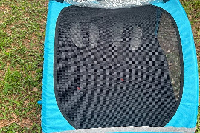 2 hours E-Bike with 2-Child Trailer Kissimmee Lakefront Tour - Final Thoughts: Is It Worth It?