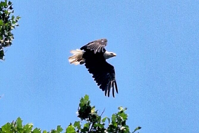 2 hours Starved Rock single Kayak Rental - FAQ