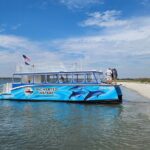 2 HR Dolphin Tour in North Myrtle Beach - Who Will Love This Tour?