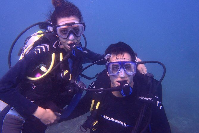 2 Tank Boat Dives for Certified Divers - The Dive Experience: What You Can Expect