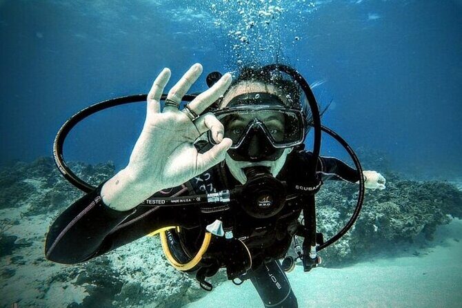 2 tanks for certified divers - Authentic Insights from Reviewers