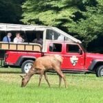 3 - 3.5 HR Smoky Mtn. Cherokee Eco Elk Safari Jeep Adventure - The Itinerary Breakdown