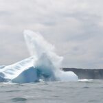 3 Hour Ocean Safari by Zodiac Boat -Whales & Icebergs seasonally - Frequently Asked Questions