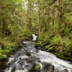 3-Hour Rainforest, Beach & Wildlife Walk - Practical Tips for Travelers