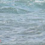 3-Hour Wing Foil Course - FAQ