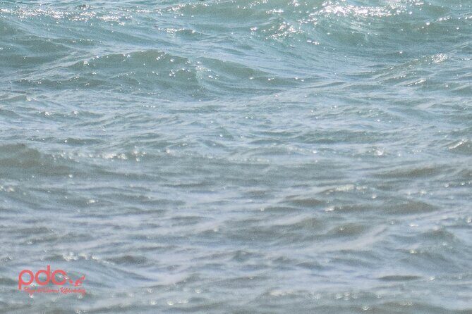 3-Hour Wing Foil Course - FAQ