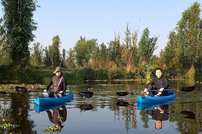 3 Hours of Kayaking at the Ancient Canals of Xochimilco - Pricing and Value