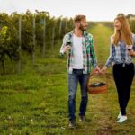 3 hours Wine Tour in Niagara-on-the-Lake - Starting with Comfort and Convenience