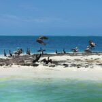 3 Islands Snorkel on boat, Isla Blanca, Contoy, Mujeres - Authentic Experiences and Traveler Insights