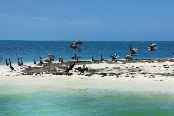 3 Islands Snorkel on boat, Isla Blanca, Contoy, Mujeres - Authentic Experiences and Traveler Insights