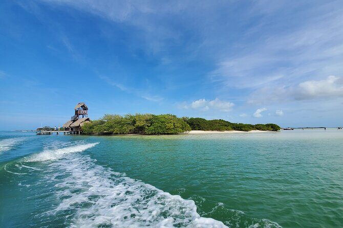 3 Islands tour Holbox. (yalahau, and more) - Authenticity and Overall Experience