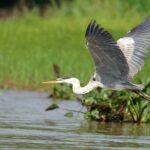 3h Boat Safari - Montreals Nature and Iconic Attractions Tour - Who Would Love This Experience?