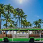 4 Day Pass LeaLea Trolley and Waikiki Trolley Pink Line - A Closer Look at the Itinerary and Experience