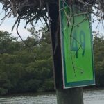 4 Hour Keewaydin Island Beach Tour - The Experience: What to Expect on the Tour